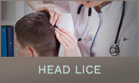 Head Lice Head Lice