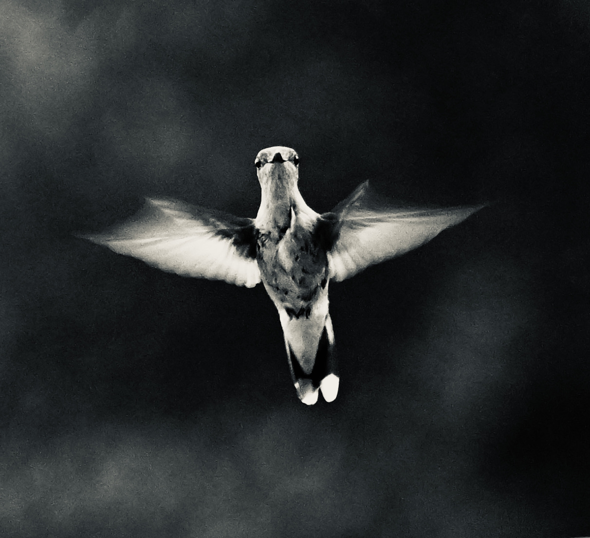 Migration